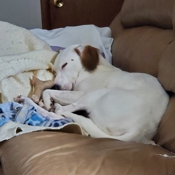 Meet your Posher, Kristen - Picture 5 of 5